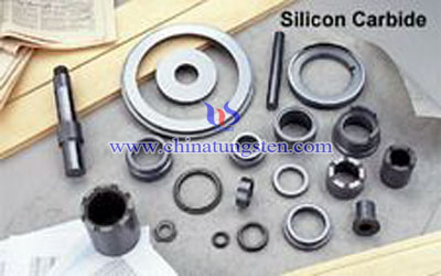 碳化矽密封環